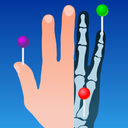 e-Anatomy人体解刨及立体透视软件最新版v4.9.5-cn官方版