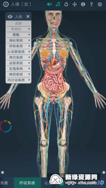 女性人体模型软件手机版下载 3d女性人体模型软件手机版 女性解剖模型软件 下载v1 0安卓汉化版 新绿资源网