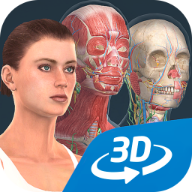 Human body female3d(女性人体模型软件手机版)v1.0安卓汉化版