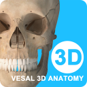 维萨里3D解剖免费安卓版v5.2.4AR版