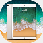 Theme for iPad 12.9(ipadpro