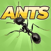 Pocket Ants(ģʳﰲ׿)v0.0550Դ