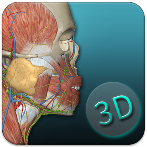 2021人体解剖学图集会员版v3.11.4无广告版