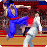 Karate Fighting(2021空手道格斗�h