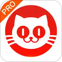 猫眼专业版app实时票房v6.2.0安卓最