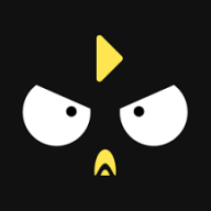 笨鸟数据数据分析app2021安卓下载