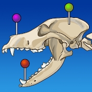 vet-Anatomy动物3d解剖软件安卓手机版v2.0.0最新版
