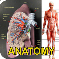 anatomy人体解剖图谱app最新版下载v2.2安卓版
