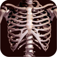 Bones 3D Anatomy(bones3d人体骨骼结构图)v2.0.3免费版