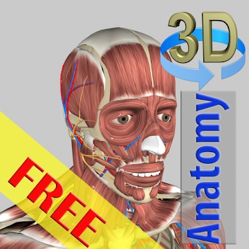 3D Bones and Organs Anatomy手机版(人体解剖模型app)v5.3安卓版