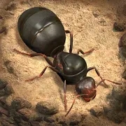 The Ants蚂蚁地下王国免谷歌版