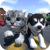 Cute Pocket Cat And Puppy 3DϷ