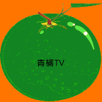 青橘影视TV版v2.5.5最新版