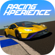ֻ°(Racing Xperience)v1.4.8°