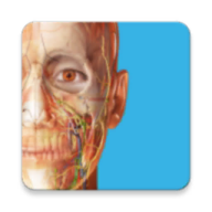 Atlas人体解剖学图谱2023高级版解锁版