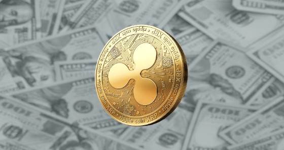 币圈热度最高的币有哪些 币圈最热门的币有哪些 币圈热度最高的币有哪些 币圈最热门的币有哪些