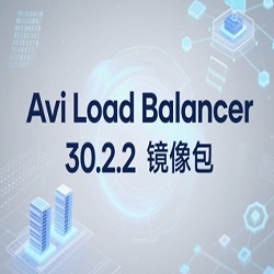 VMware Avi Load Balancerٷ°v30.2.2