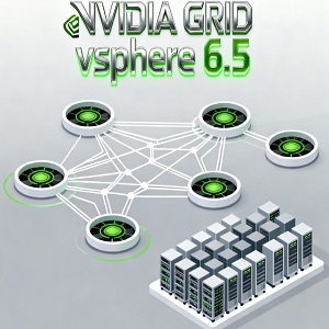 NVIDIA GRID vSphere 6.5Ӣΰͼ׼װv14.1ٷ