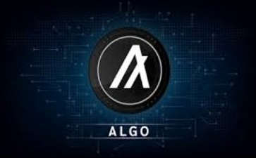 ALGOô algoҽappЩ Algoʲô