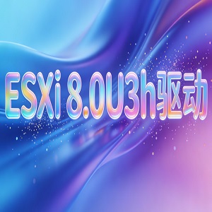 ESXi 8.0U3h�����з�����������°�v8.0U3h-25066677��װ������
