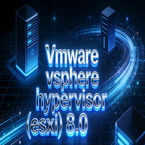 Vmware vsphere hypervisor esxi 8.0����������Ѱ�