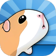 GUINEA PIG BRIDGEŹٷv9.2.4׿°