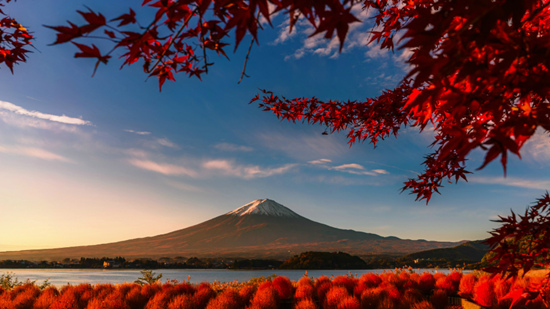 Sony Photography Proٷ