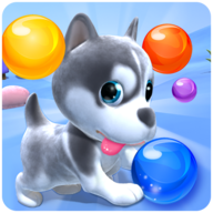 Puppy BubbleСϷ