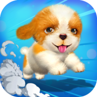 Dog Run狗跑游戏最新版