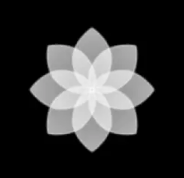 oppoϢapkȡ氲װ