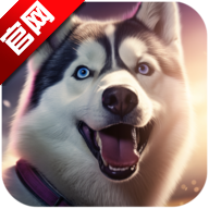 Husky SimulatorʿģϷٷ2025