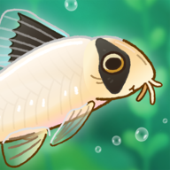 PondlifeȤιٷ