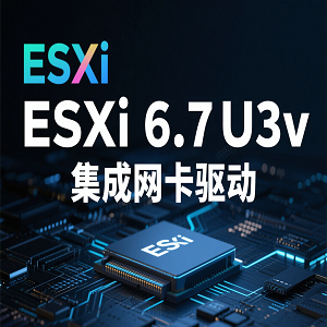 ESXi 6.7U3vưv6.7.0-20250304001 Realtek