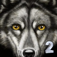 UltWolf2�ռ���ģ�������޼��ܵ�