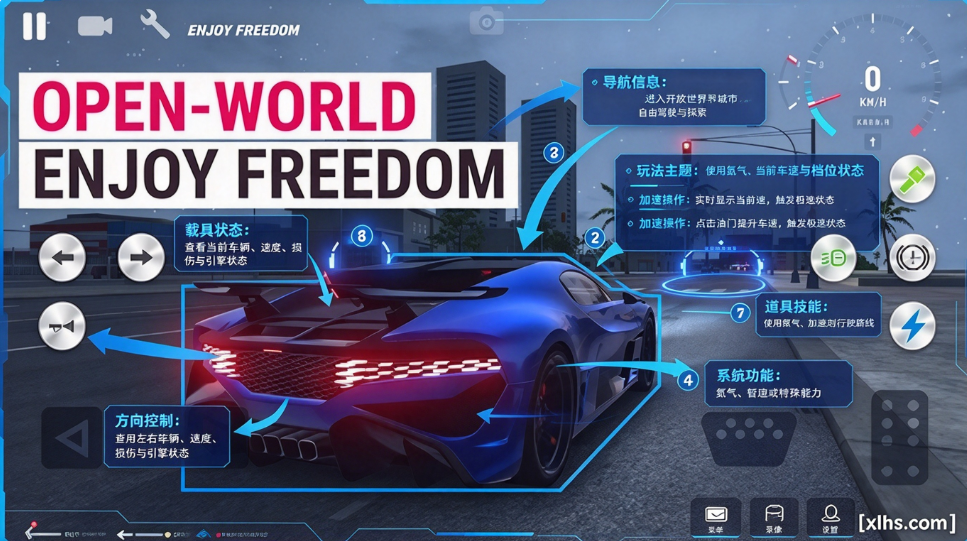 ��ʵ��ʻѧУ������(Real Driving School)