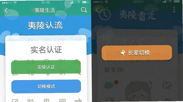 ��������app���������ͼ��չʾʵ����֤���̺ͳ���ģʽ�л���ť���ֻ���Ļ�����ɼ�