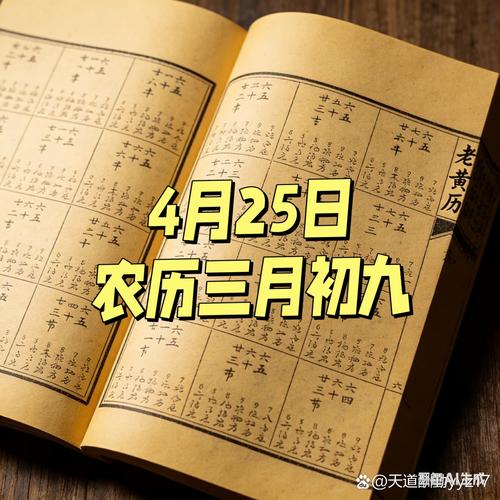 ��������-�ϻ����������� 2026����ҿ�ҵ�������շ���