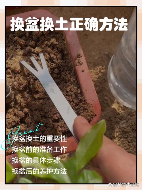 ֲ�������-����ϵֲ������ ����ʩ�ʲ�������