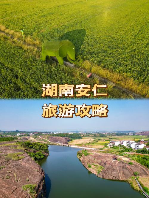 安仁发布-本地资讯速递 安仁本地最新资讯今日热点汇总配图