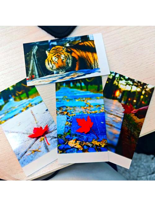 KODAK Photo Printer-�ֻ���Ƭ��ӡ ��ӡЧ������ֽ�Ĳ�ʵ�ĶԱ�ͼ