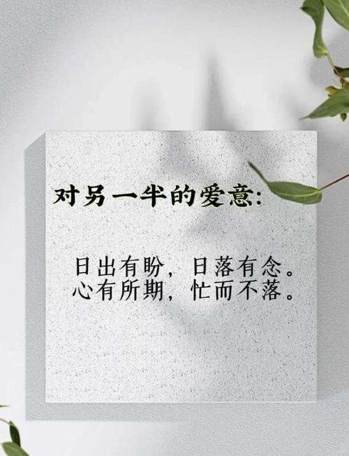 拾光日记-珍藏每一刻时光 翻看过去日记回忆美好时光