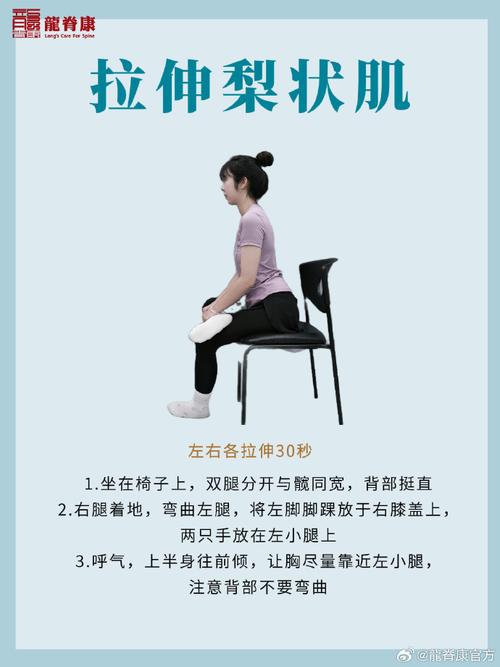 智因运动-智能健身运动助手 碎片训练 居家锻炼 肩颈拉伸 打卡社区