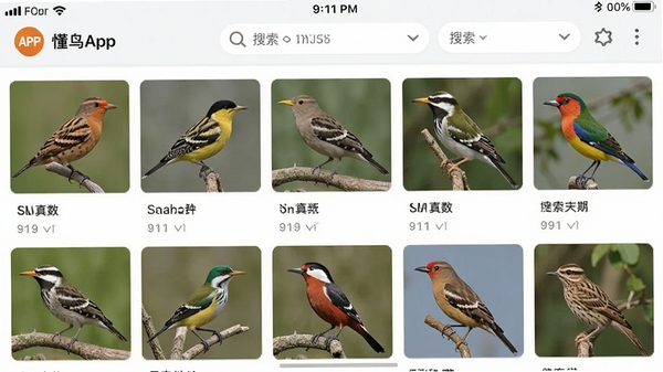 ����APP����ͼ��������棬չʾ�����������������ͼƬ������ɸѡ��