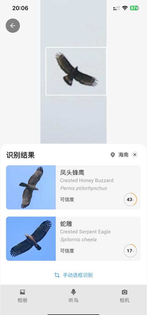 懂鸟-鸟类识别科普助手 手机拍照识别鸟类软件界面展示 包含识别结果和鸟类科普信息