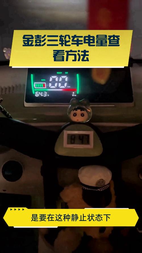 ����-��������ר���������� ���������鿴������ͼ