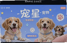 ���ǳ������ɻ��������������轻��ƽ̨