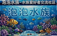 ����ˮ������ˮ�尮���߽������㾭�����