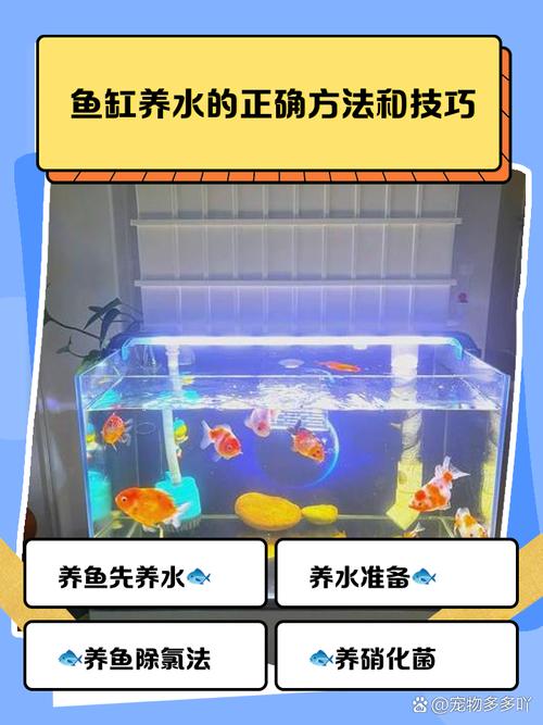 ����ˮ��-ˮ�尮���߽������� ���ֿ�����ˮ����ͼ��