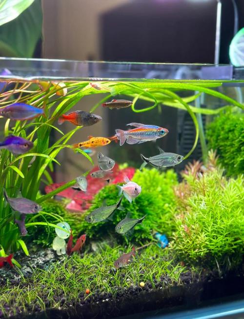 ����ˮ��-ˮ�尮���߽������� �㲡���Ƹ����ʵ��