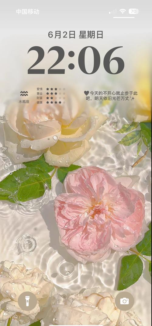 ָ������-������������ ��Լ�߼�������沼��ϸ��ͼ ����С�����ͼ����ʽ